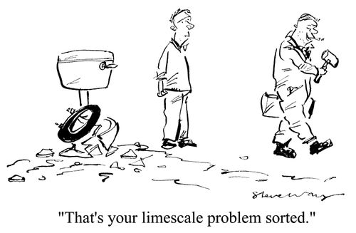 'That's your limescale problem sorted.'
