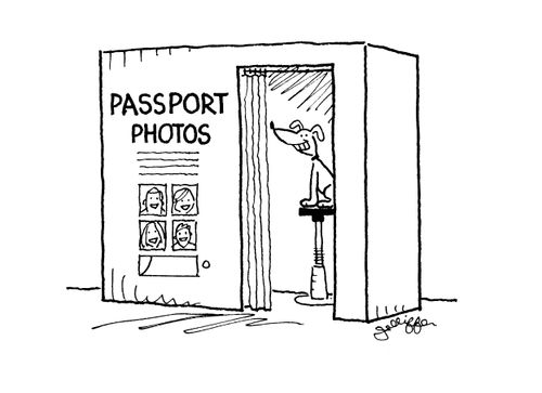 Dog in the passport photo booth.