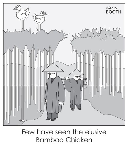Few have seen the elusive bamboo chicken.
