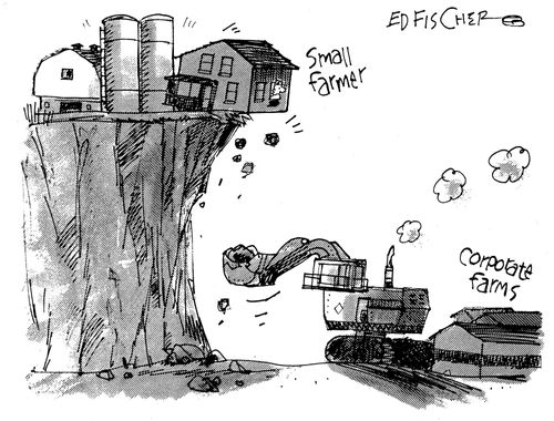 Small farmers losing ground to large corporate farms.