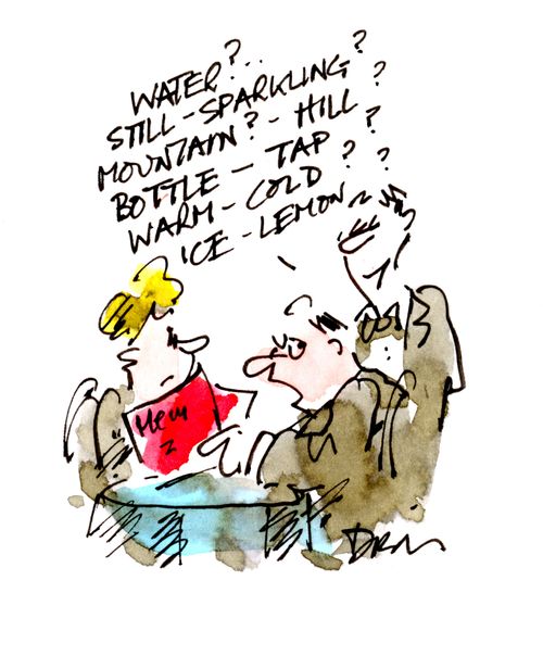 'Water? Still? Sparkling? Mountain? Hill? Bottle? Tap? Warm? Cold? Ice? Lemon?'