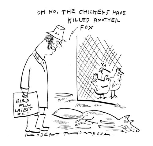 'Oh no, the chickens have killed another fox.'