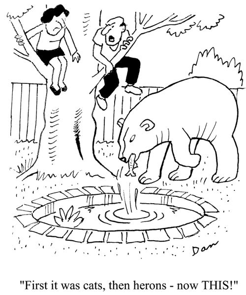 'First it was cats, then herons - now this!'