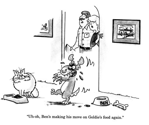 'Uh-oh, Ben's making his move on Goldie's food again.'