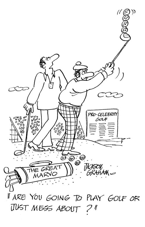 Pro-celebrity golf: "Are you going to play golf or just mess about?"