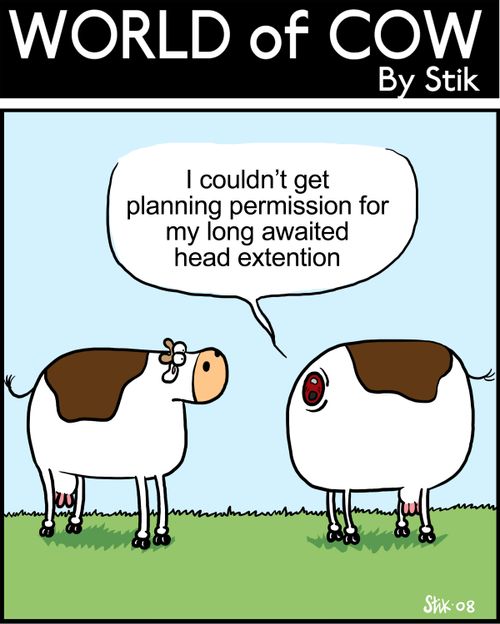 World Of Cow - "I couldn't get planning permission for my long awaited head extension."