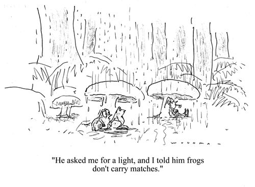 'He asked me for a light and I told him frogs don't carry matches.'