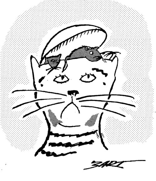 Rat Cat.