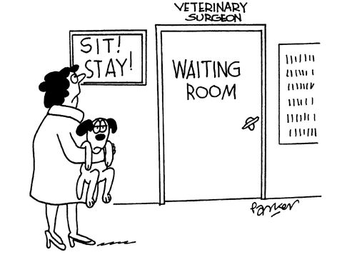 Sit! Stay!