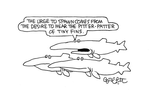 'The urge to spawn comes from the desire to hear the pitter-patter of tiny fins.'