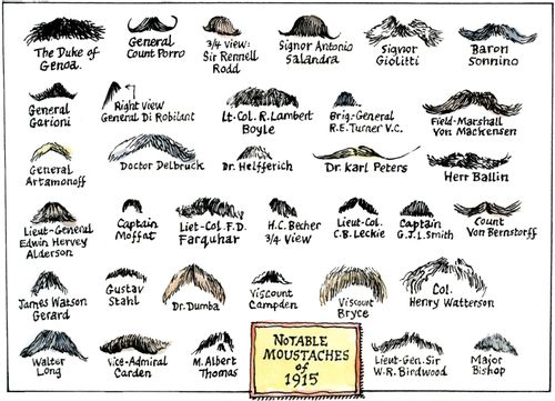 Moustaches with their owners' names.
