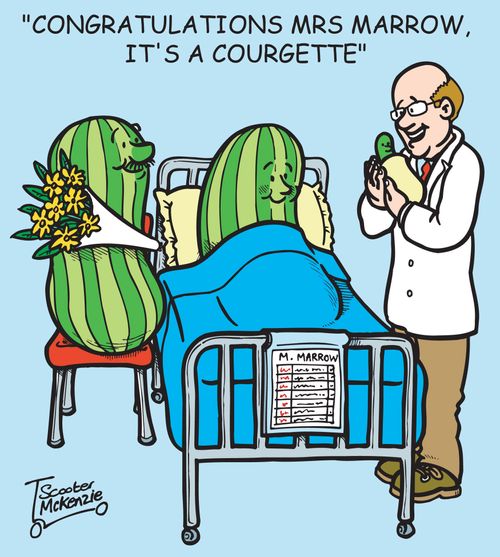 'Congratulations Mrs Marrow, it's a courgette.'