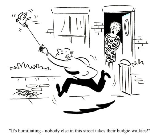 'It's humiliating - nobody else in this street takes their budgie walkies!'