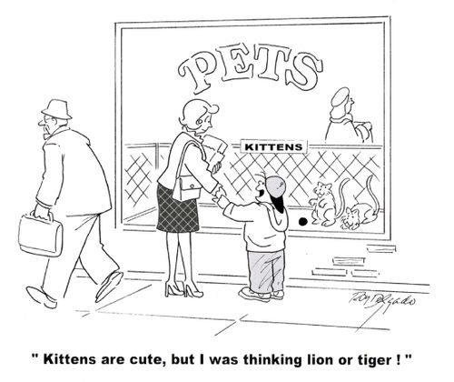 'Kittens are cute, but I was thinking lion or tiger.'