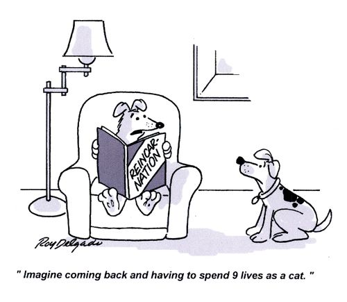 'Imagine coming back and having to spend 9 lives as a cat.'