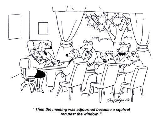 'Then the meeting was adjourned because a squirrel ran past the window.'