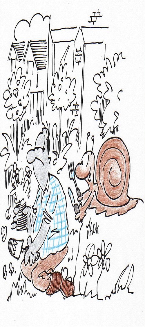 Hungry Snail.