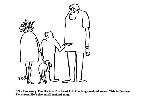 'No, I'm sorry.  I'm Doctor Ford and I do the large animal work....'