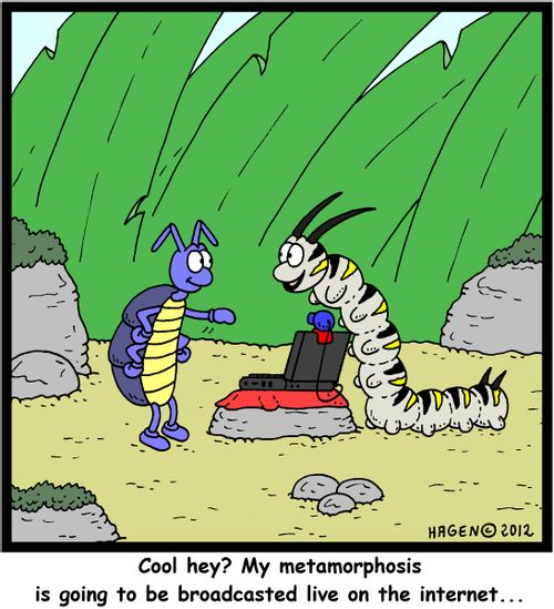 'Cool hey? My metamorphosis is going to be broadcasted live on the internet...'