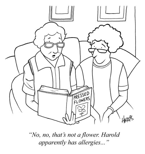 'No, no, that's not a flower. Harold apparently has allergies. . .'