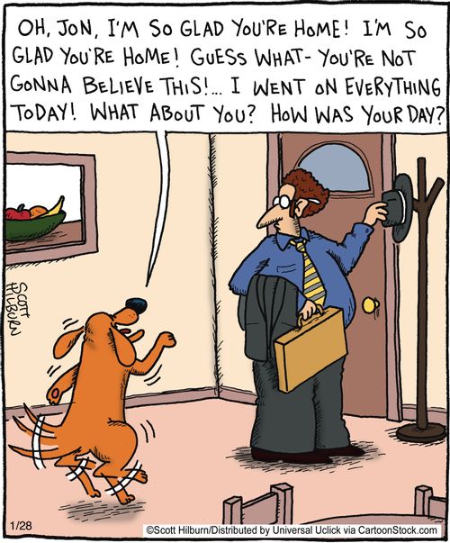 Glad your home,