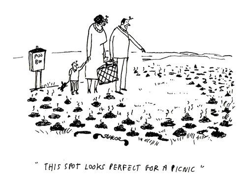 'This spot looks perfect for a picnic'