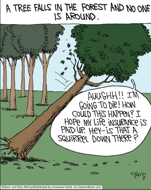 A tree falls in the forest and no one is around.