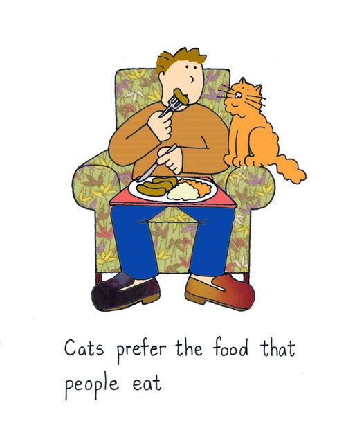 Cats prefer the food that people eat.