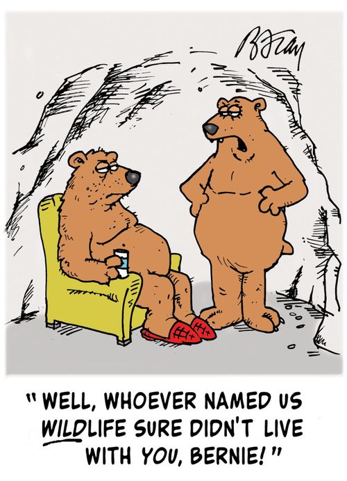 'Well, whoever named us wildlife sure didn't live with you, Bernie!'