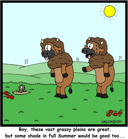 'Boy, these vast grassy plains are great, but some shade in full Summer would be good too...'