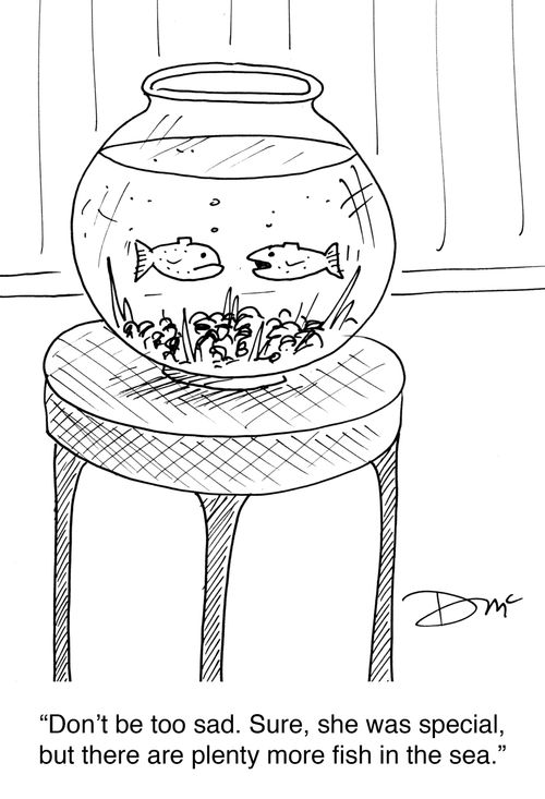 'Don't be too sad. Sure, she was special, but there are plenty more fish in the sea.'