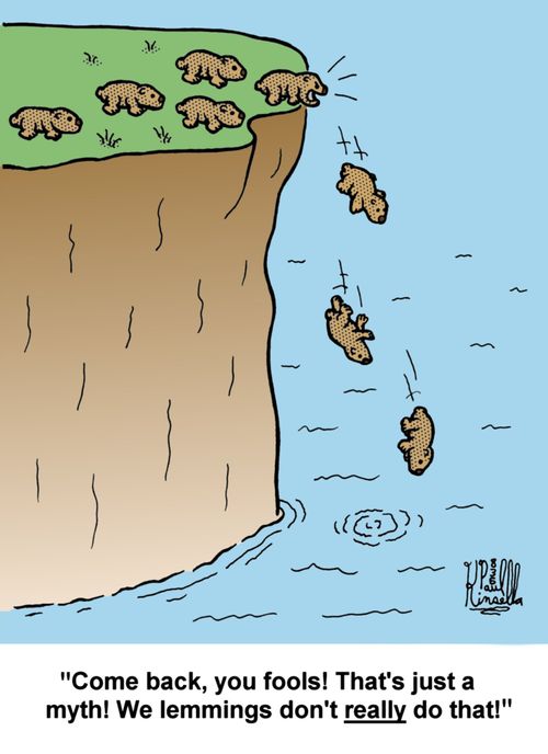 'Come back you fool! That is just a myth! We lemmings don't really do that!'