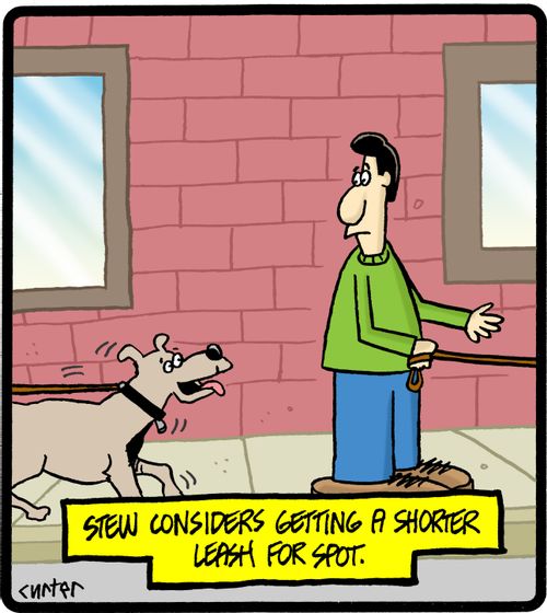 Stew considers getting a shorter leash for Spot.