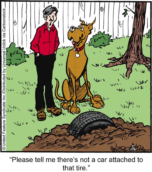 'Please tell me there's not a car attached to that tire.'