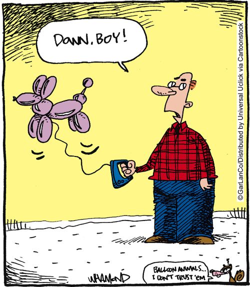 'Down boy!'