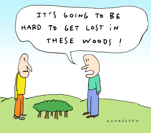 'It's going to be hard to get lost in these woods!'