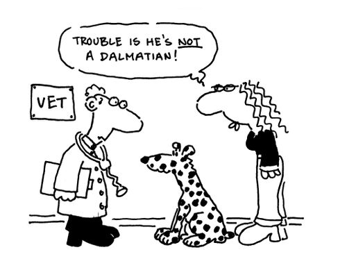 'Trouble is he's not a dalmatian.'