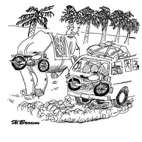Elephant with an emergency ride.