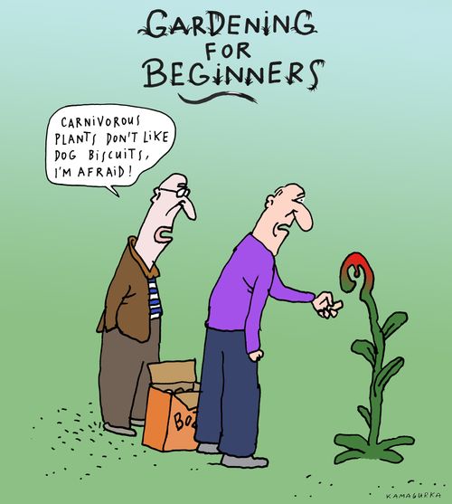 Gardening for Beginners - 'Carnivorous plants don't like dog biscuits, I'm afraid!'