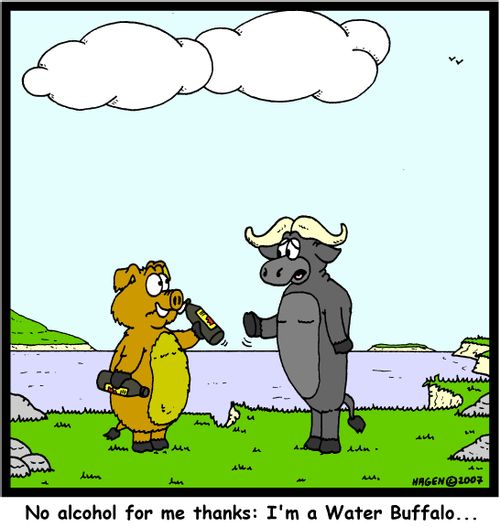 No alcohol for me thanks: I'm a Water Buffalo...