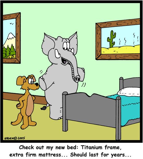 'Check out my new bed: Titanium frame, extra firm mattress... Should last for years...'