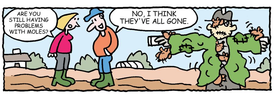 Are you still having problems with moles?