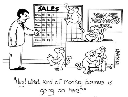 'Hey! What kind of monkey business is going on here?'