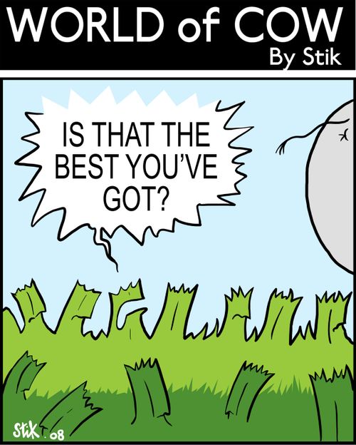 'Is that the best you've got?'
