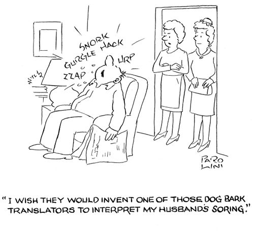 'I wish they would invent one of those dog bark translators to interpret my husband's snoring.'