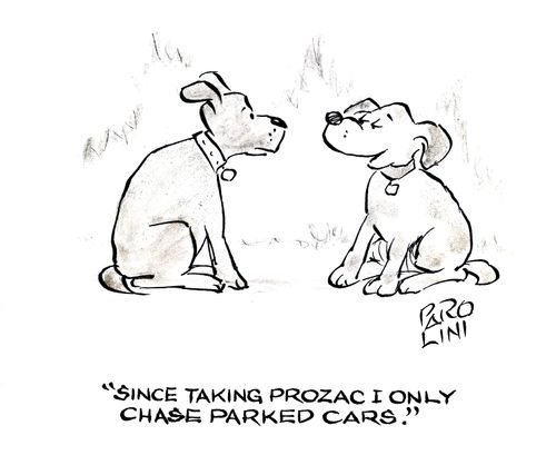 'Since taking Prozac I only chase parked cars'