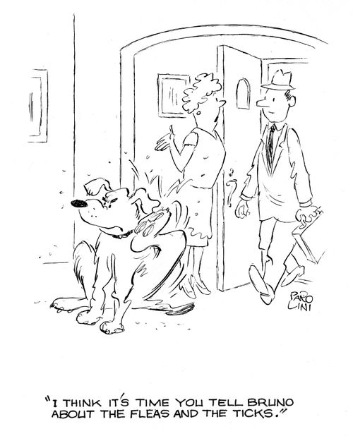 'I think it's time you tell Bruno about the fleas and the ticks.'
