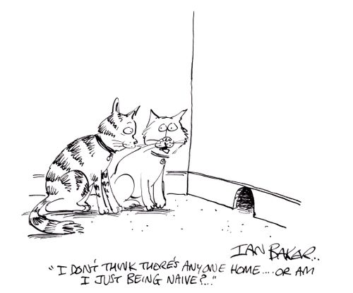 'I don't think there's anyone home...Or am I just being naive?...'