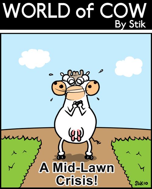 Mid-Lawn Crisis!