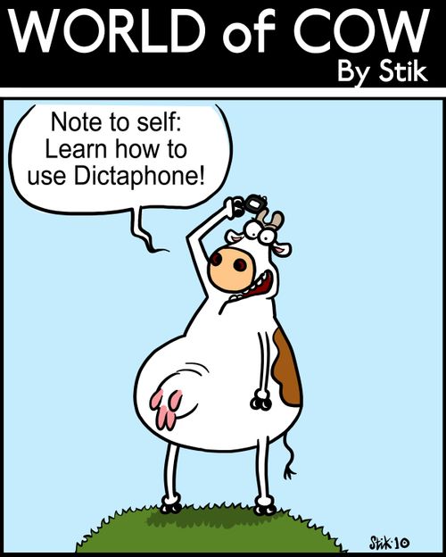 Note to self: Learn how to use Dictaphone!